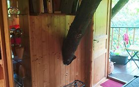 Cabane Cerise Dans L'Arbre